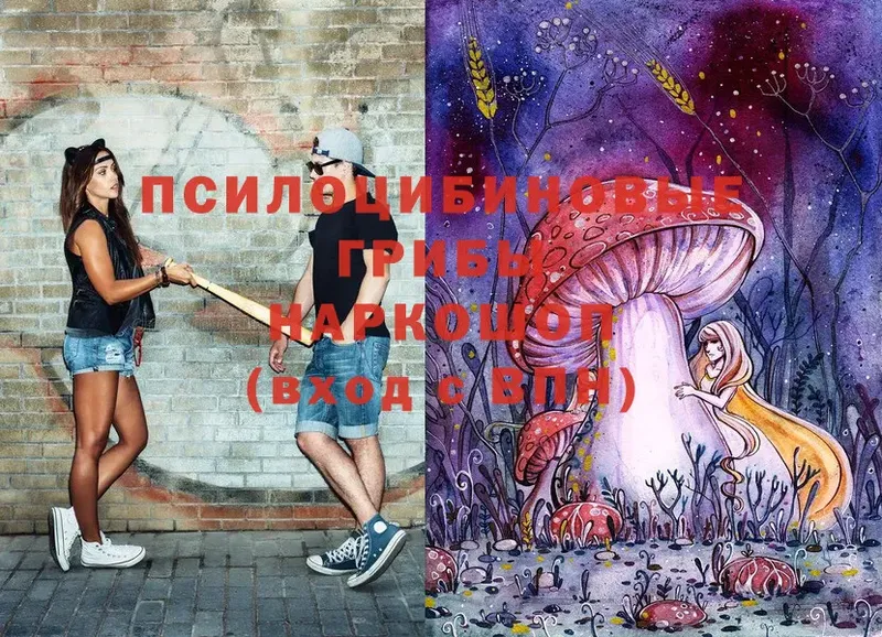 Псилоцибиновые грибы MAGIC MUSHROOMS  где купить наркоту  Каспийск 